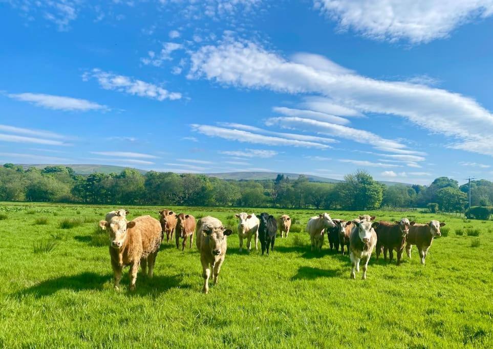فيلا Mill Farm Retreat Gortin المظهر الخارجي الصورة